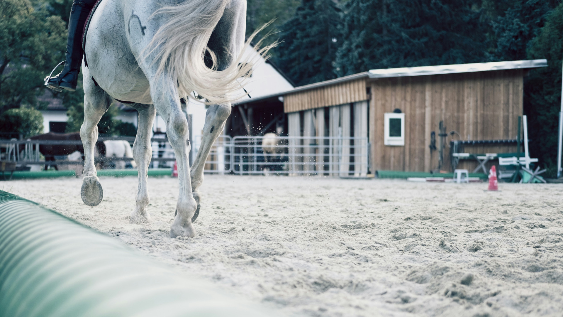 Équitation et sable : un duo essentiel pour la performance